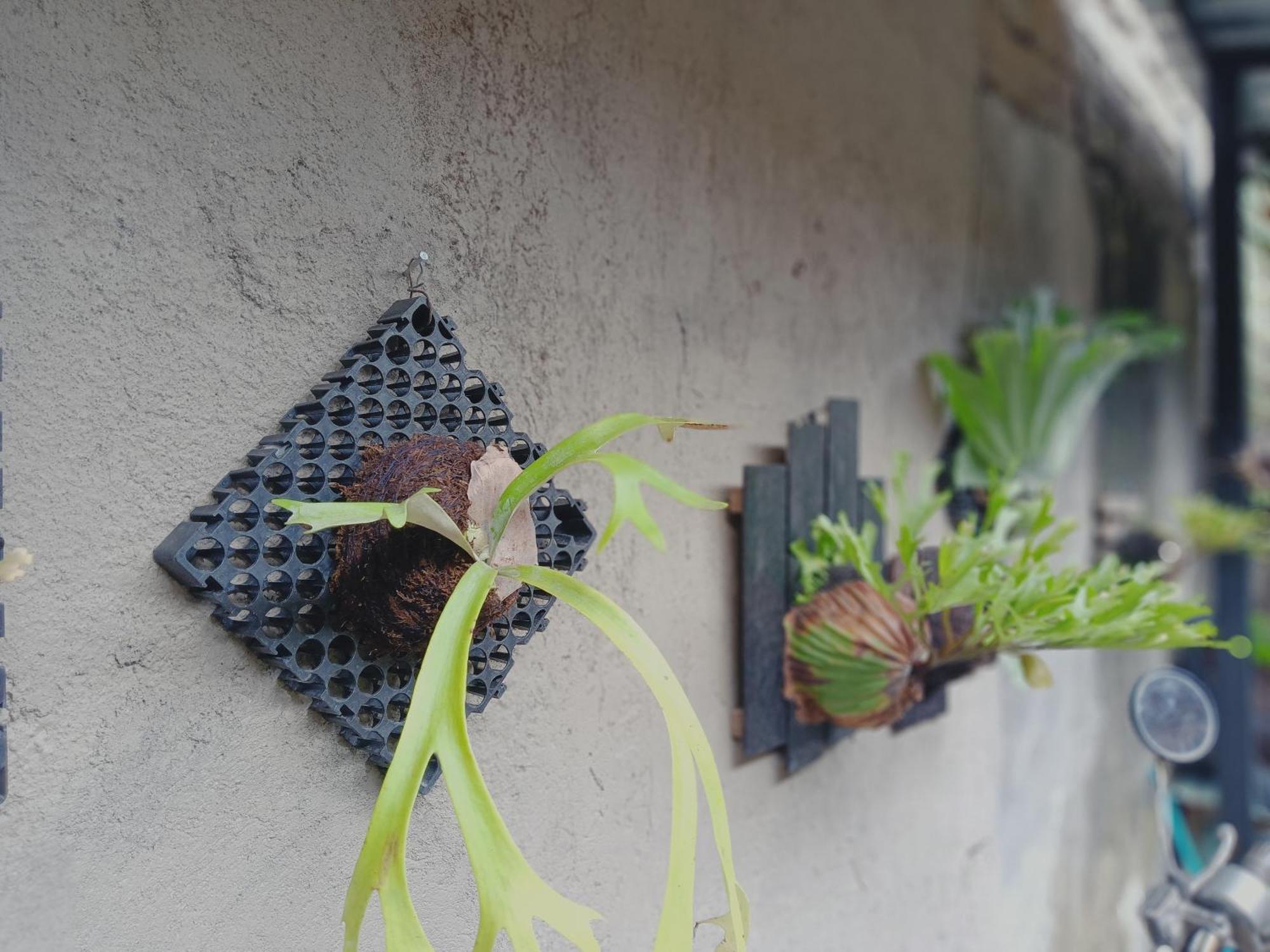 Sudana Homestay Ubud  Ngoại thất bức ảnh