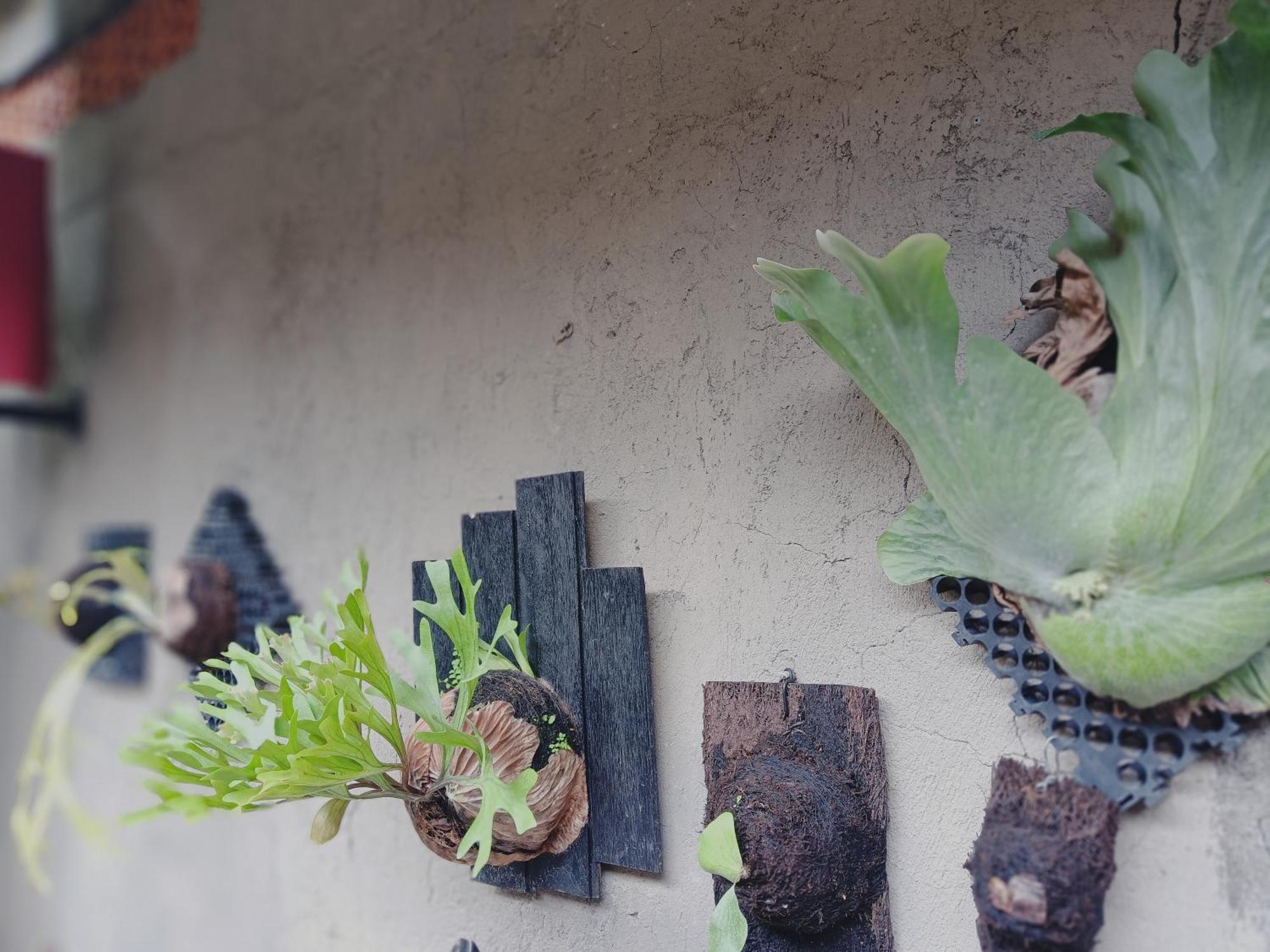 Sudana Homestay Ubud  Ngoại thất bức ảnh